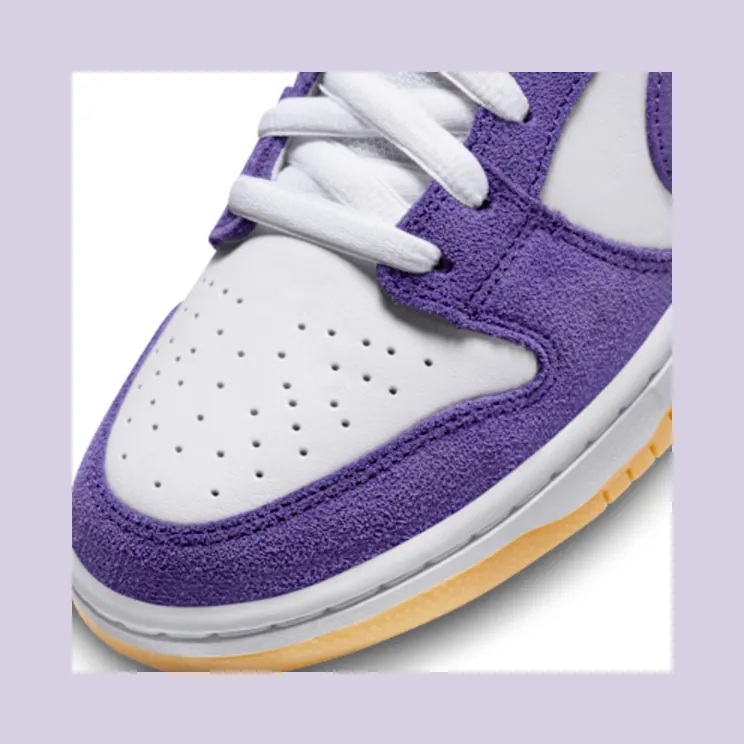 nike-dunk-sb DV5464-500
