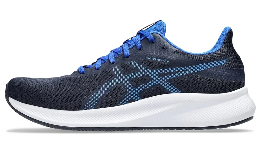 asics-patriot 1011B485-413
