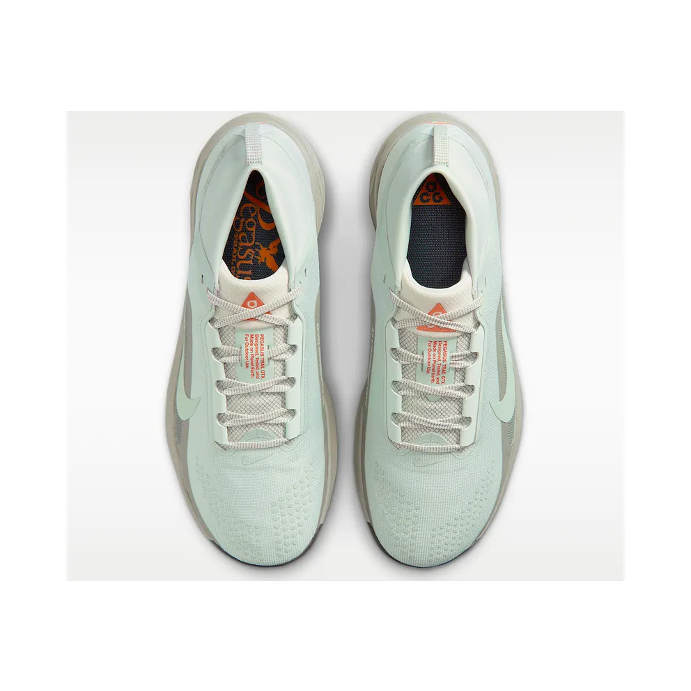 Nike Acg Pegasus Trail Gtx “Silver” (IQ1084003)