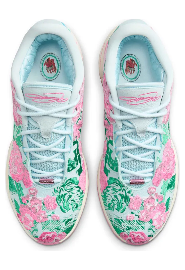 nike-lebron FV7275-401
