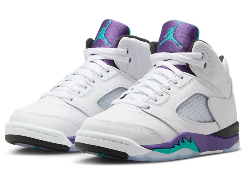 air-jordan-5 HQ7979-100