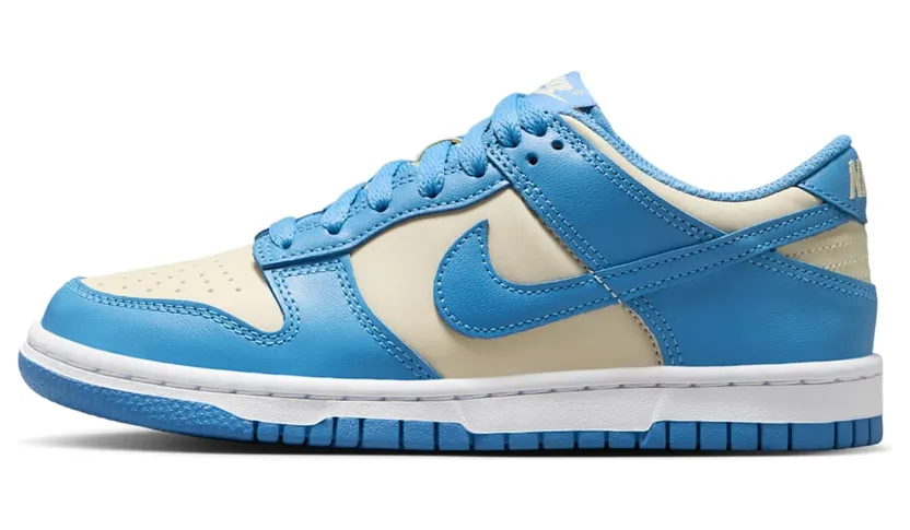 Nike Dunk Low FB9109-400