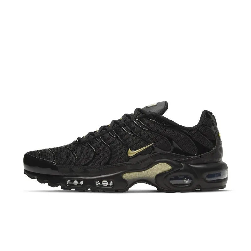 Nike Air Max Plus Black (DC4118-001)