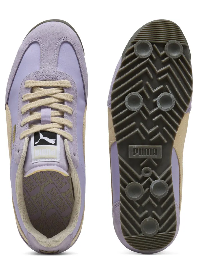 puma-arizona 398682_35