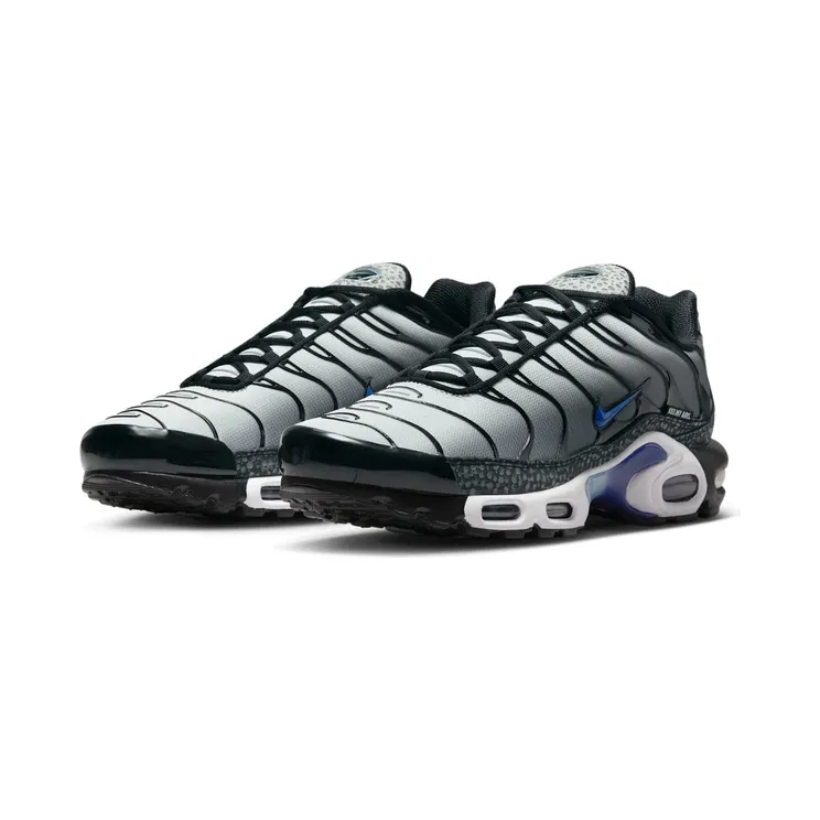 nike-air-max FD9755-001
