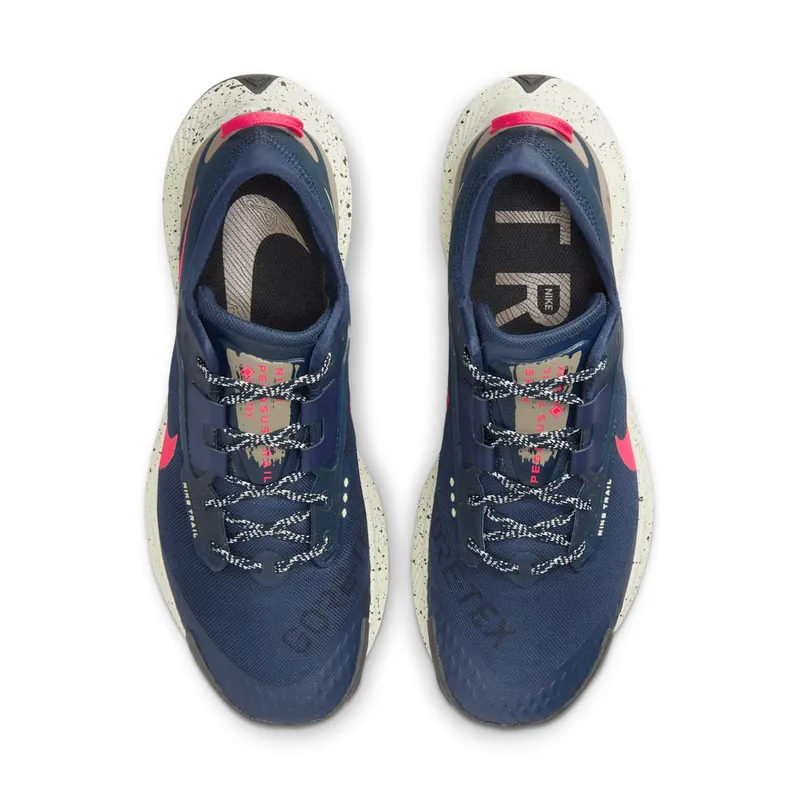 Nike Pegasus Trail 3 GORE-TEX Waterdichte Trail Running Shoes for Men Blue (DC8793-401)