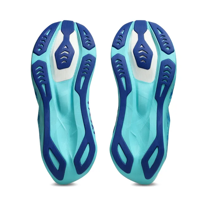 asics-novablast 1013A212-100