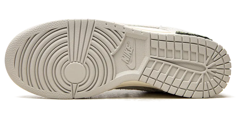 nike-dunk DJ0950-104