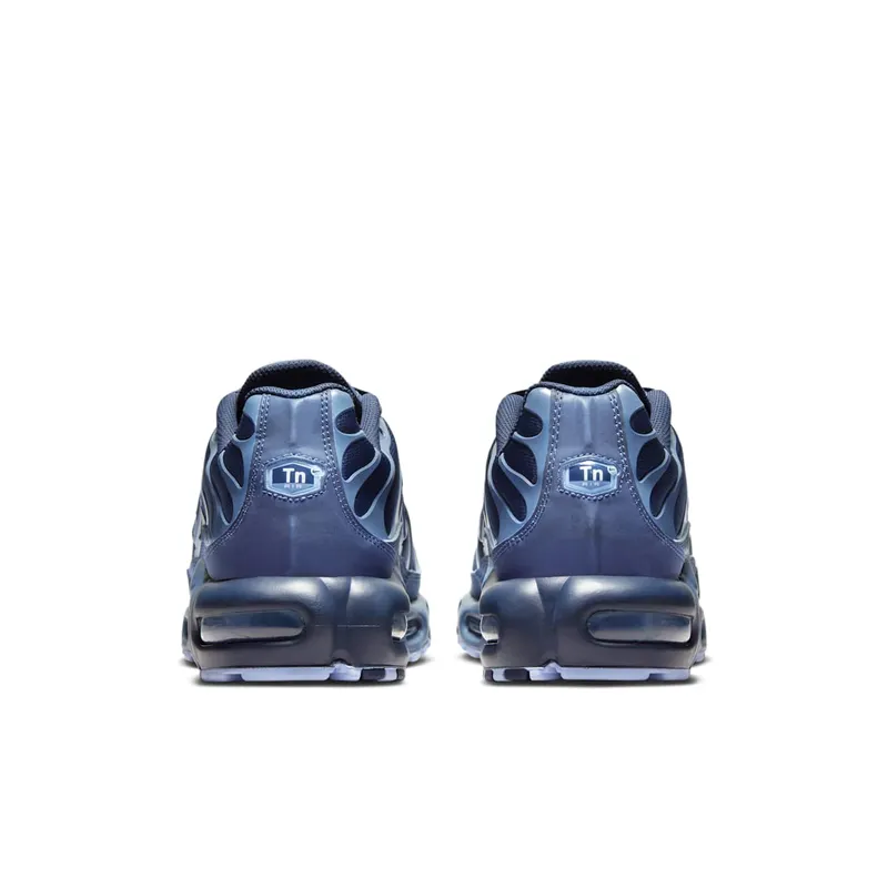Nike Air Max Plus Obsidian Aluminum (IM6601-451)