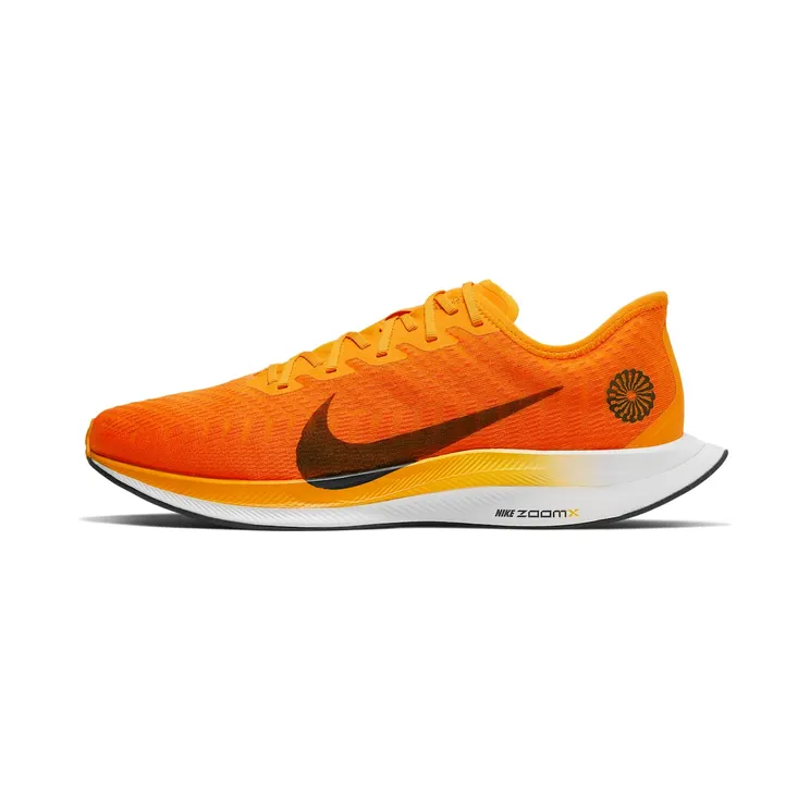 Nike Zoom Pegasus Turbo 2 Blue Ribbon Sports