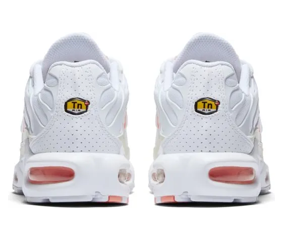 nike-air-max DC1428-100
