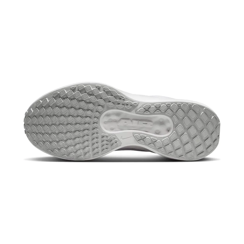Nike Winflo 11 White Photon Dust (FQ8937-100)