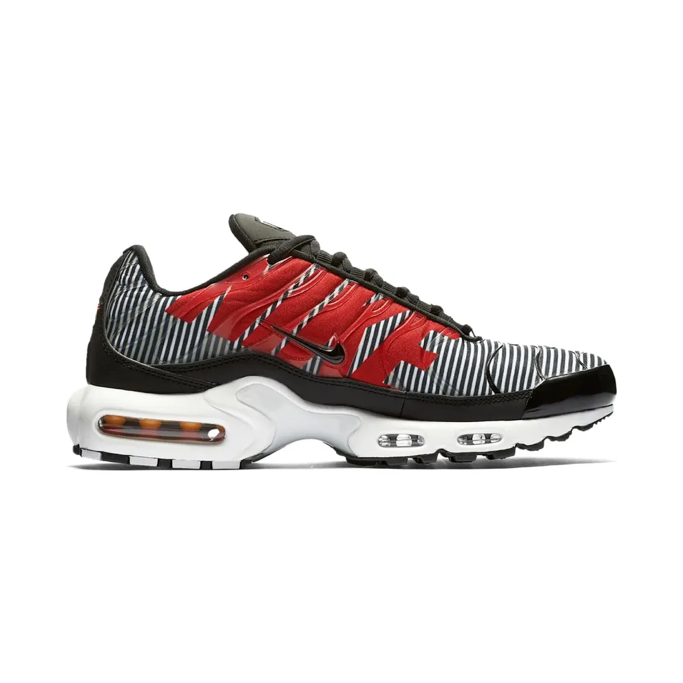 Nike Air Max Plus Striped Black White Black/White-Pure Platinum (AT0040-001)