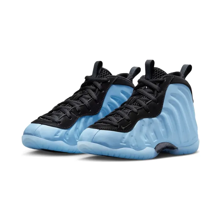 nike-little-posite HJ7655-400