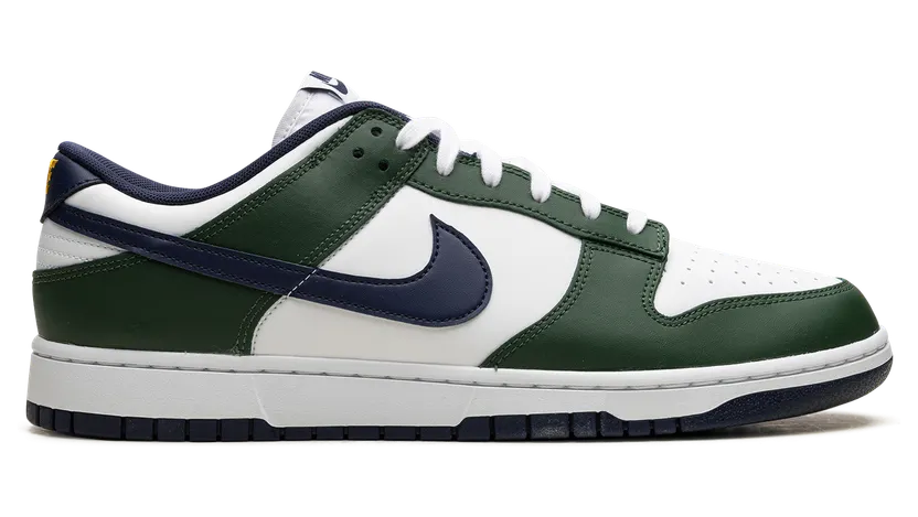 nike-dunk FV6911-300