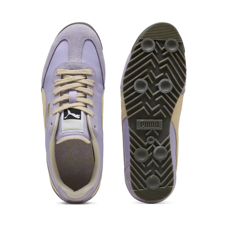 puma-arizona 398682_35