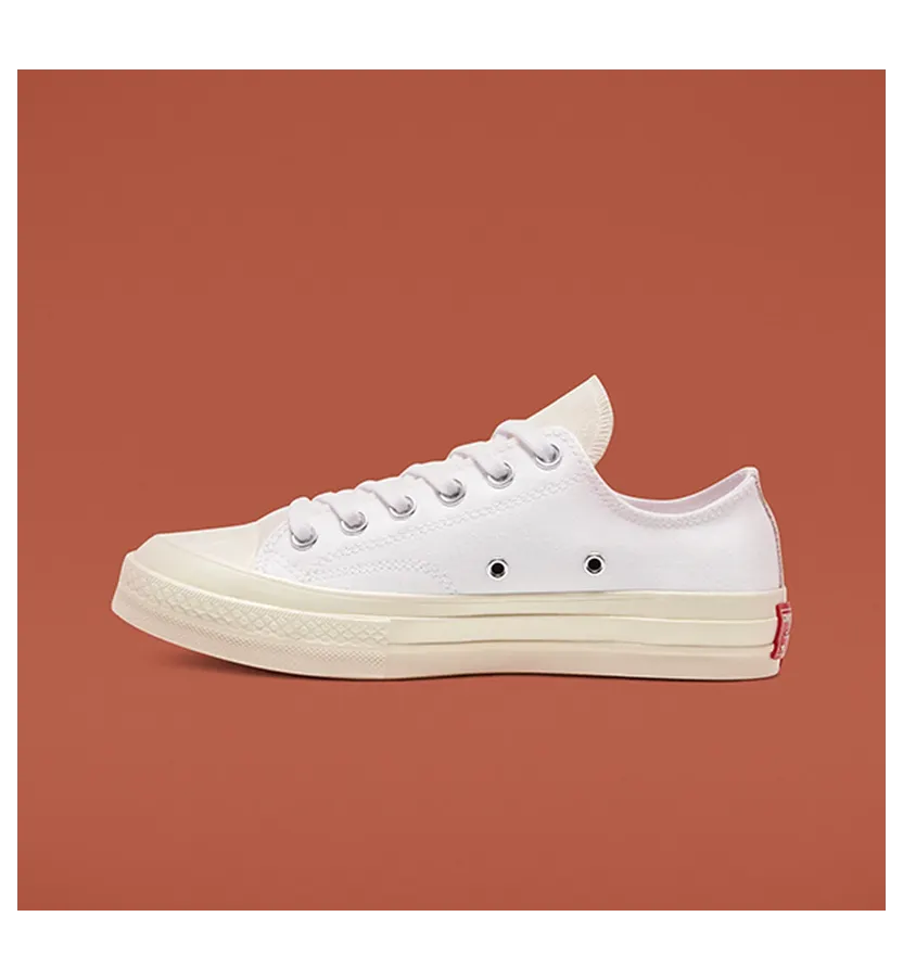 converse-chuck-taylor-all-star 168673C