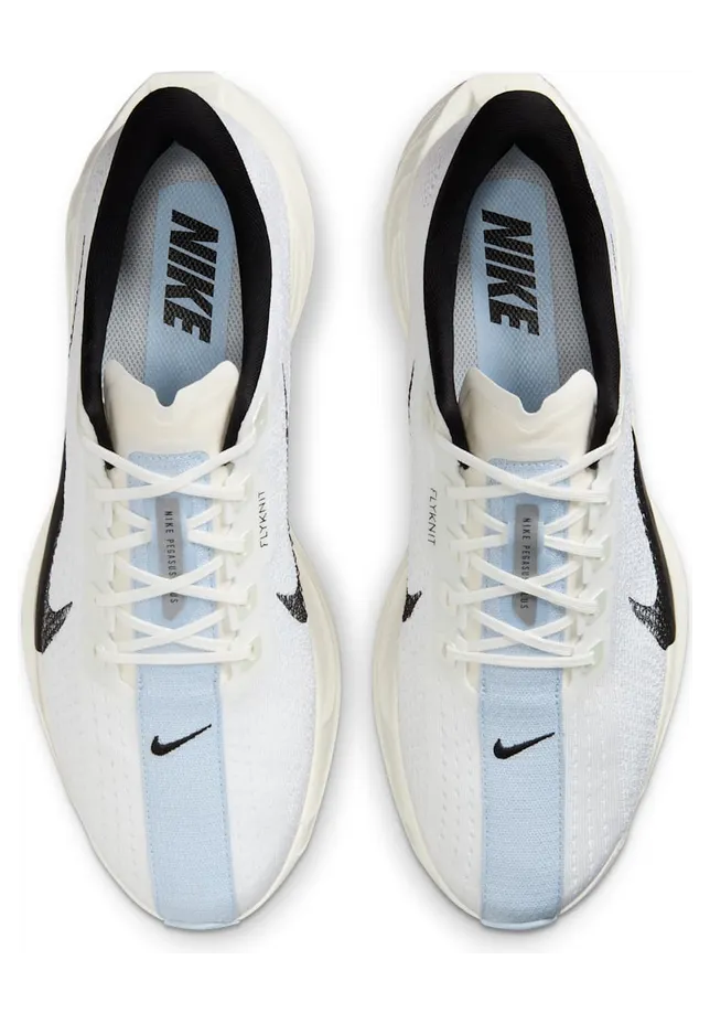nike-air-pegasus FQ7262-101