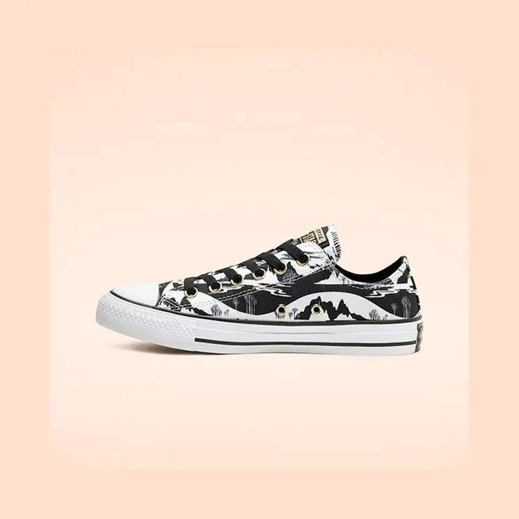 converse-chuck-taylor-all-star 167360C