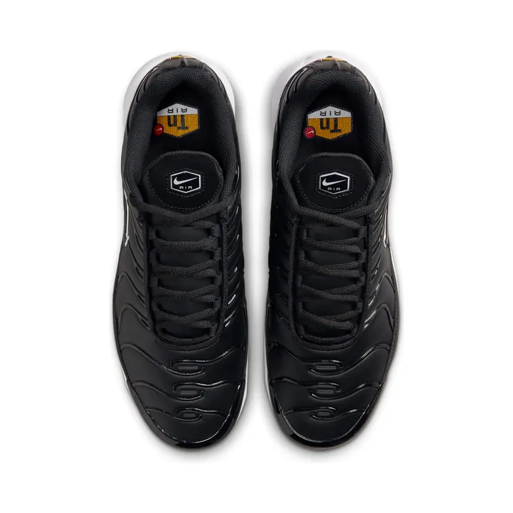 nike-air-max FZ4150-001