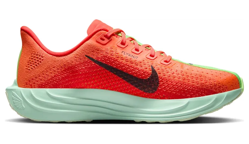 nike-air-pegasus FQ7261-600