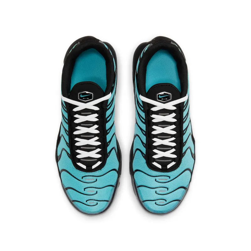 Nike Air Max Plus Older Kids’ Blue (CD0609-405)