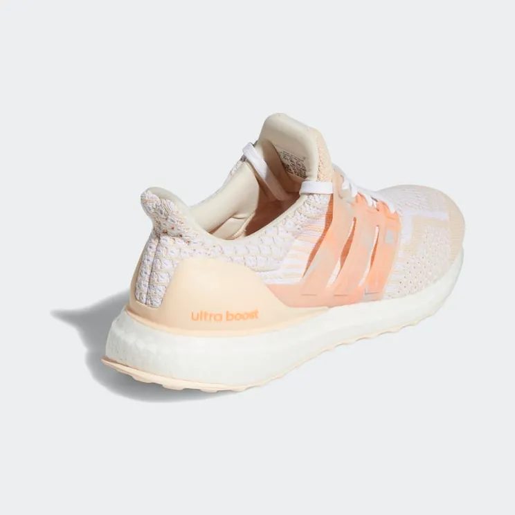adidas-ultraboost GV8719