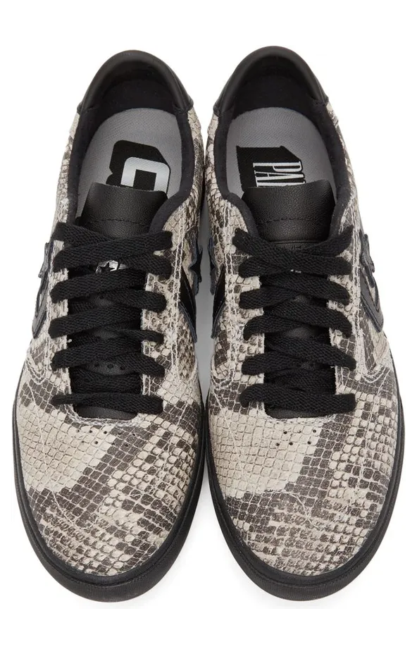 converse-checkpoint 170431C