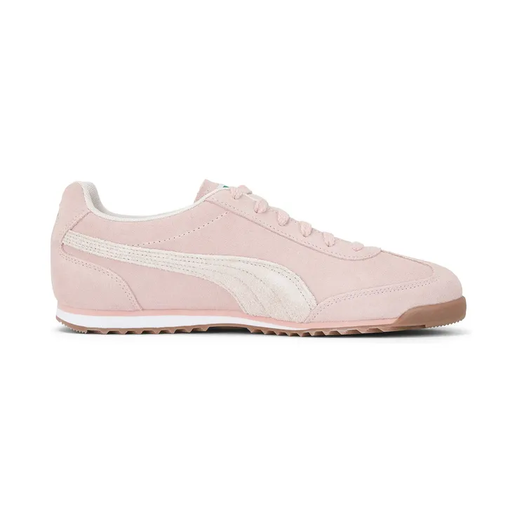 puma-arizona 402362_03