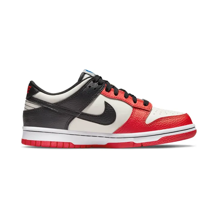nike-dunk DO6288-100