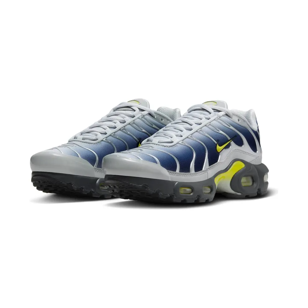 Nike Air Max Plus Obsidian Silver (HF0030-001)