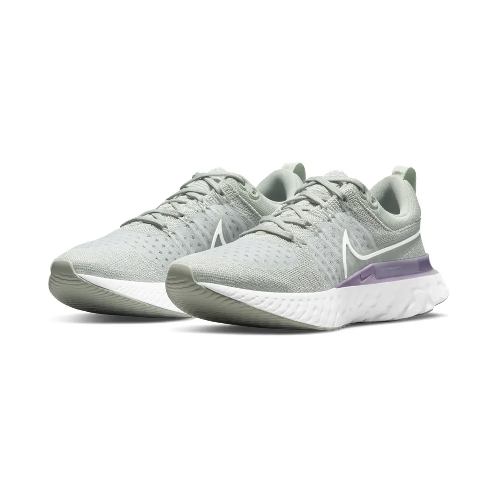 Nike React Infinity Run Flyknit 2 Grey (CT2423-005)