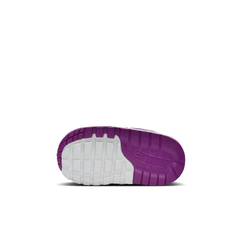Nike Air Max 1 Summit White/White/Viotech (DZ3309-109)