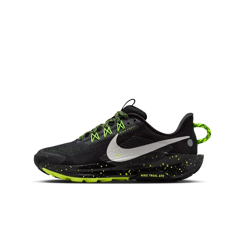 Nike Pegasus Trail Black (FV5638-006)