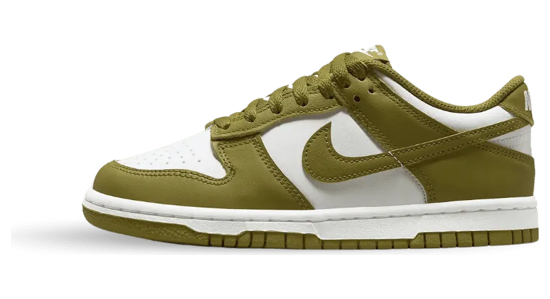 nike-dunk FB9109-108