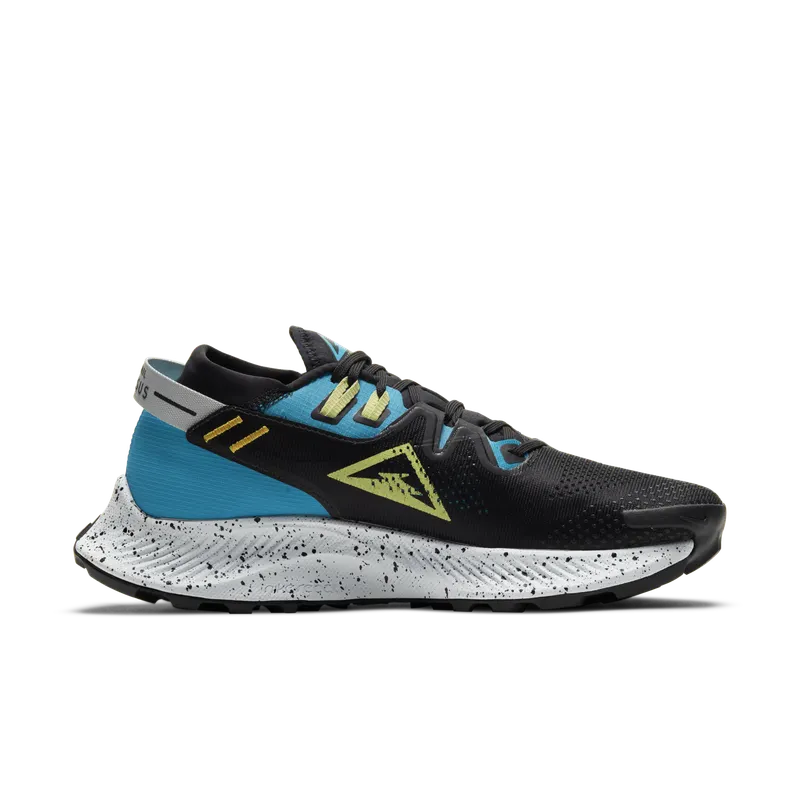 Nike Pegasus Trail 2 Trailrunningschoen for Women Black (CK4309-003)