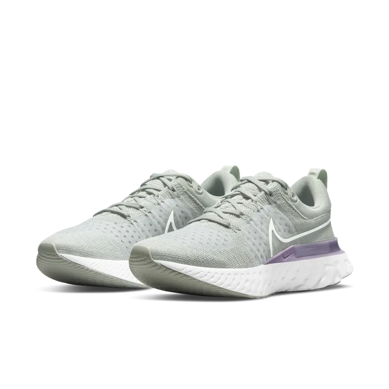 Nike React Infinity Run Flyknit 2 Grey (CT2423-005)