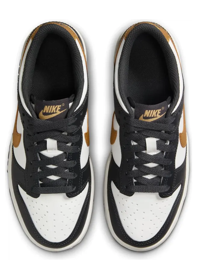 nike-dunk HV2533-100