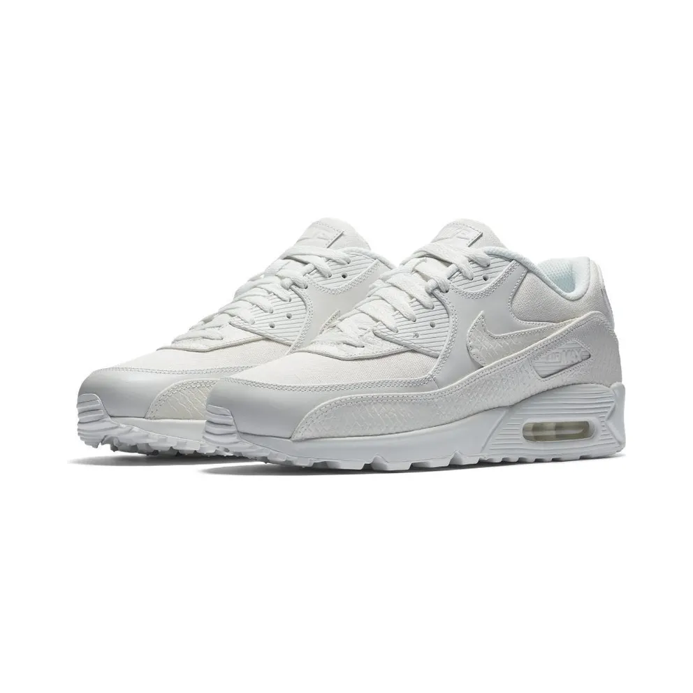 Nike Air Max 90 Summit White (700155-101)