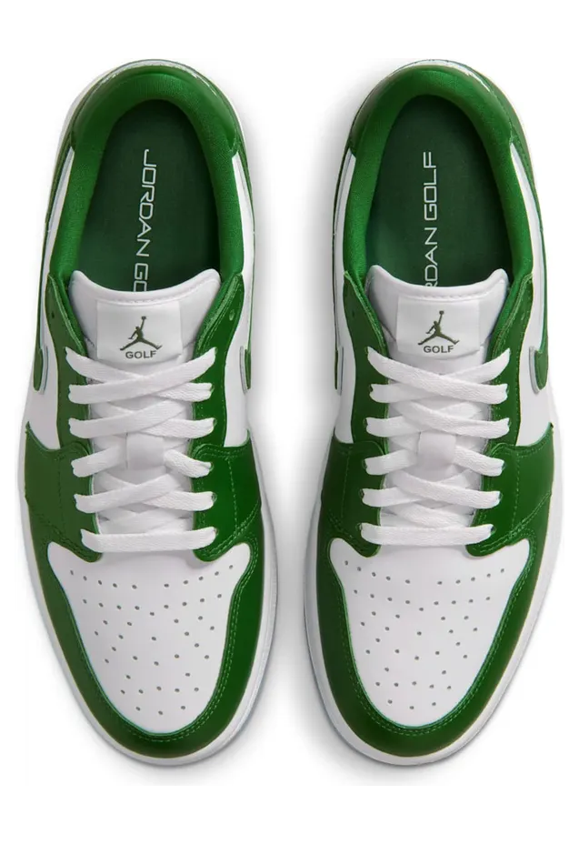 air-jordan-1 DD9315-300