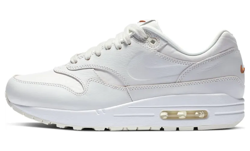 Nike Air Max 1 Summit White Sail (DC9204-100)