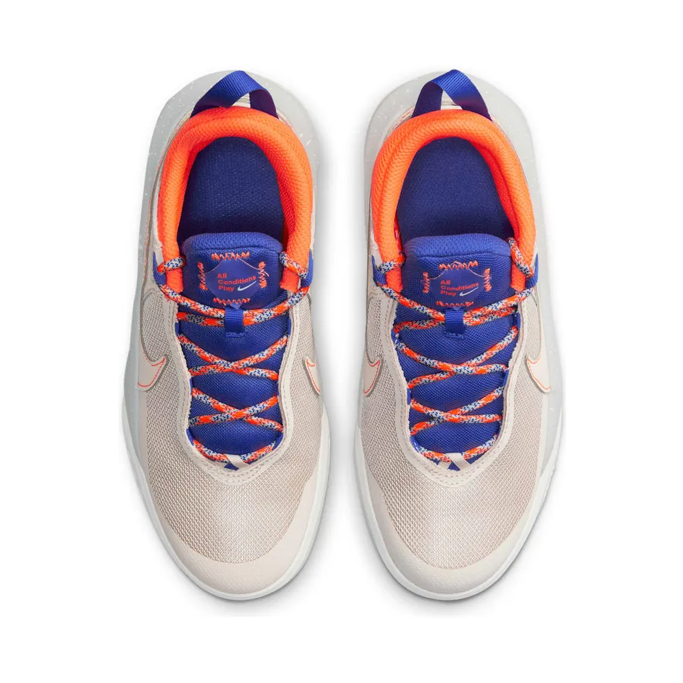 Nike Team Hustle D10 SE GS “Desert Sand” (CZ4179-001)