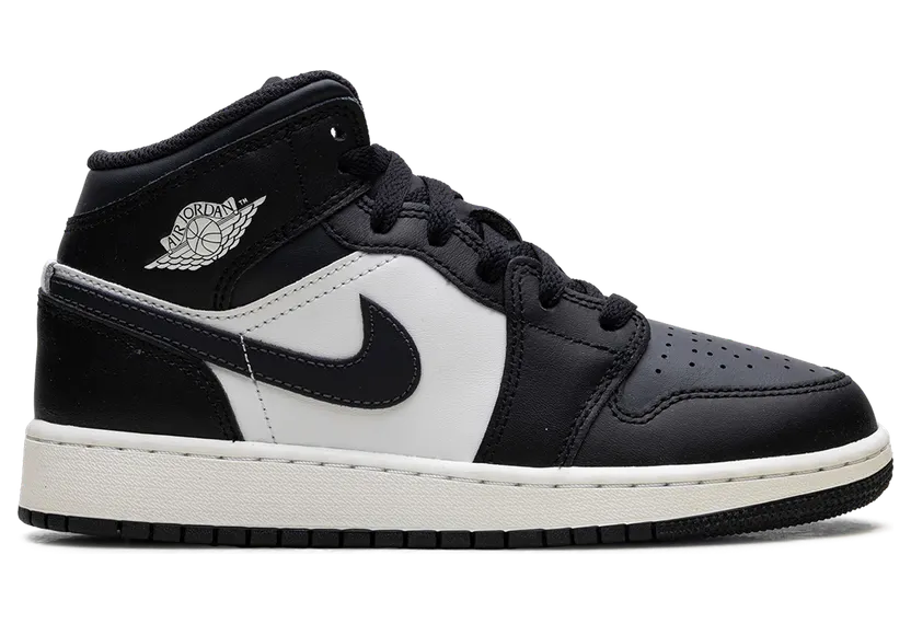 air-jordan-1 DQ8423-010