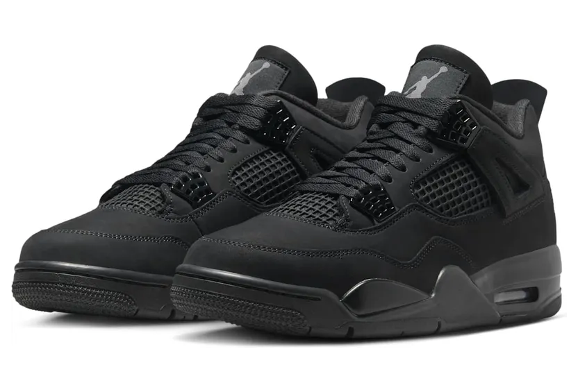 air-jordan-4 FV5029-010