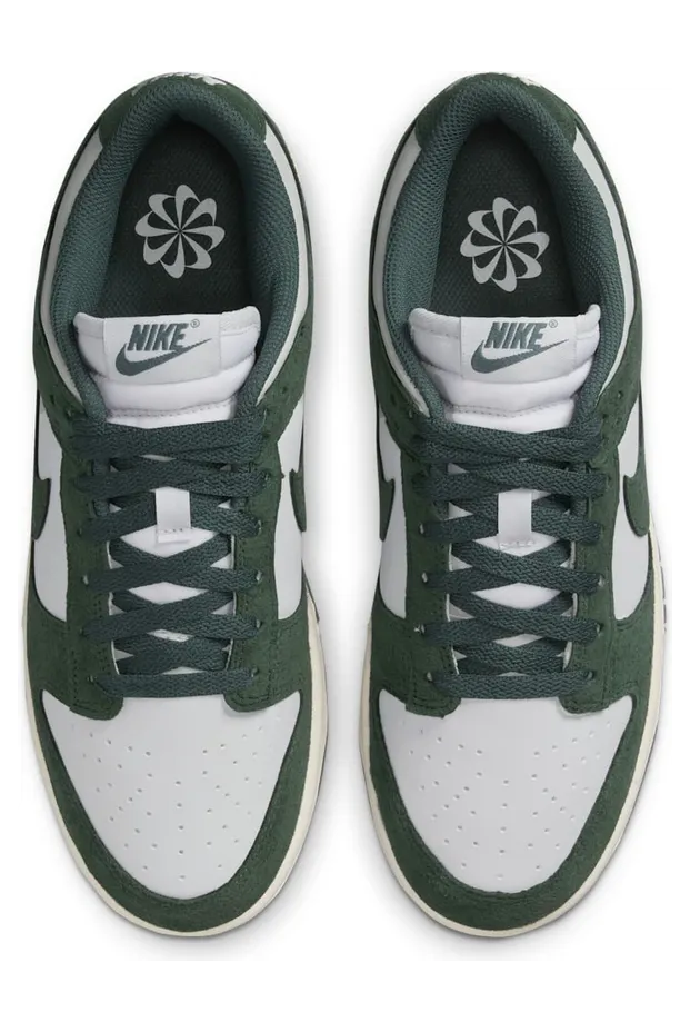 nike-dunk HJ7673-002