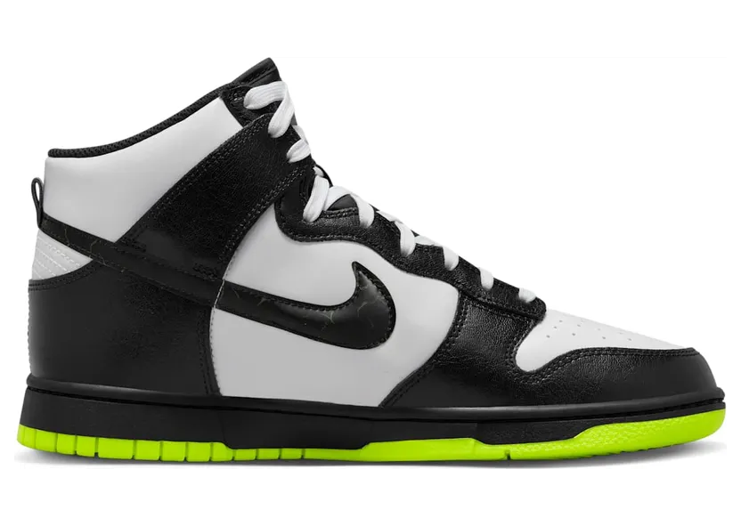 nike-dunk FD0732-100