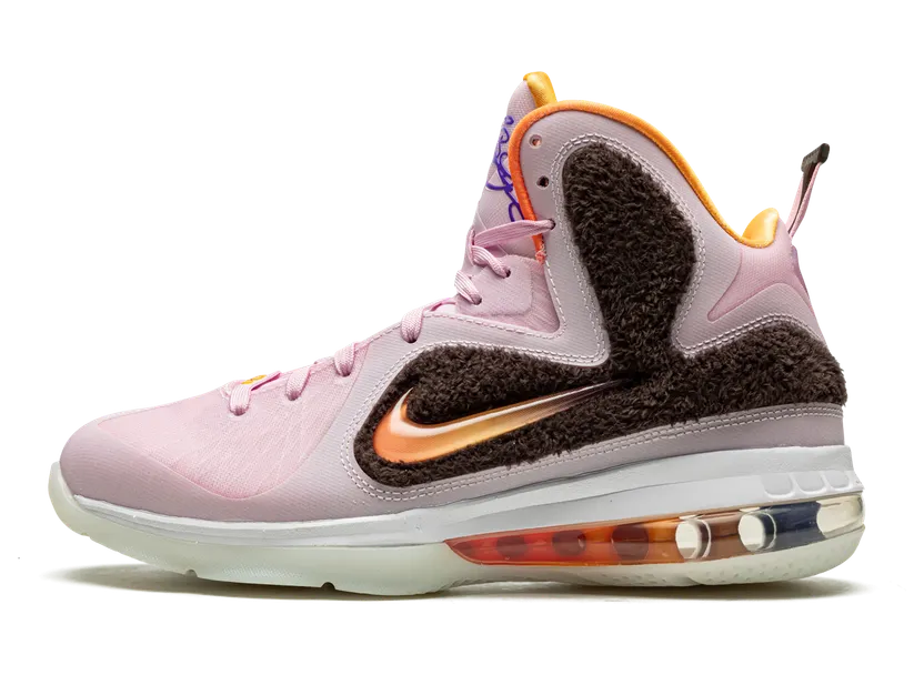 Nike LeBron IXen Roze (DJ3908-600)