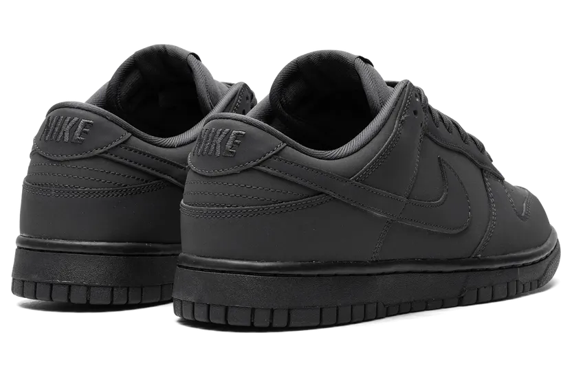 nike-dunk FZ3781-060