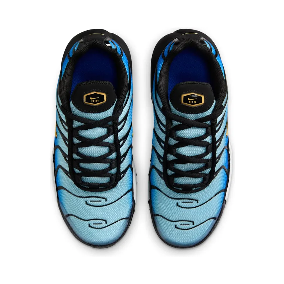 Nike Air Max Plus Hyper Blue (FZ0023-032)