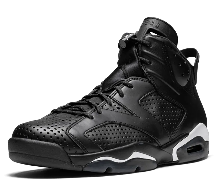 air-jordan-6 384664-020